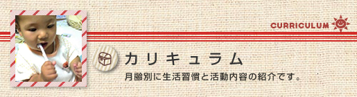 カリキュラム