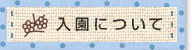 ɂ